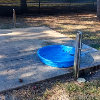 New Tampa Rotary Dog Park photo 2